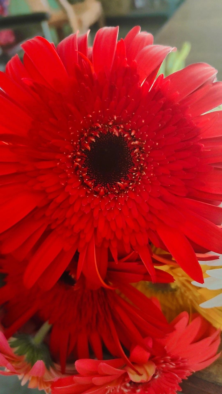 .