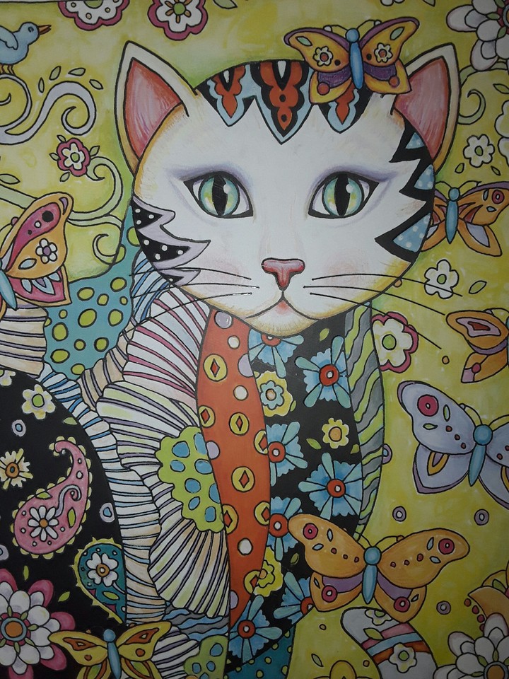 мартовская кошка