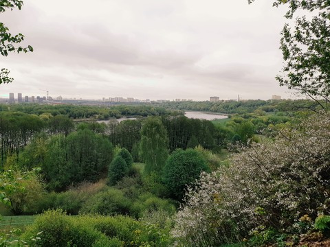 город на семи холмах