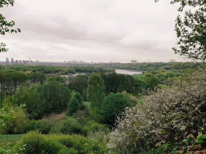 город на семи холмах