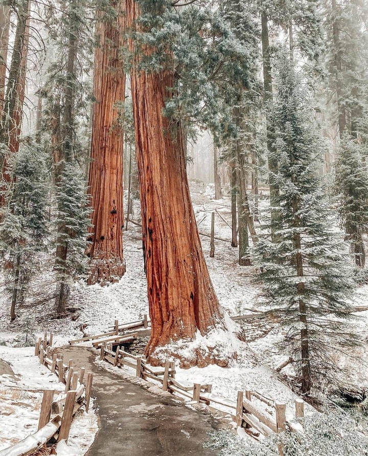 #snow