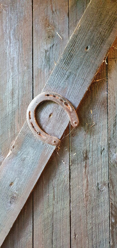 Horseshoe for good luck