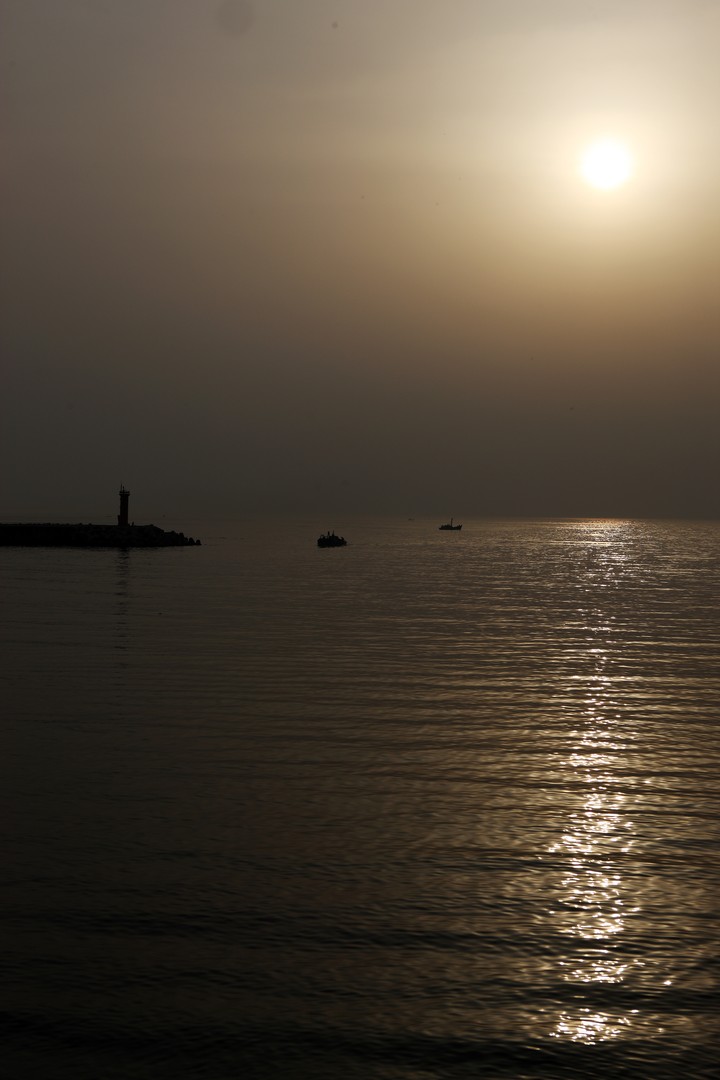 Scenics
