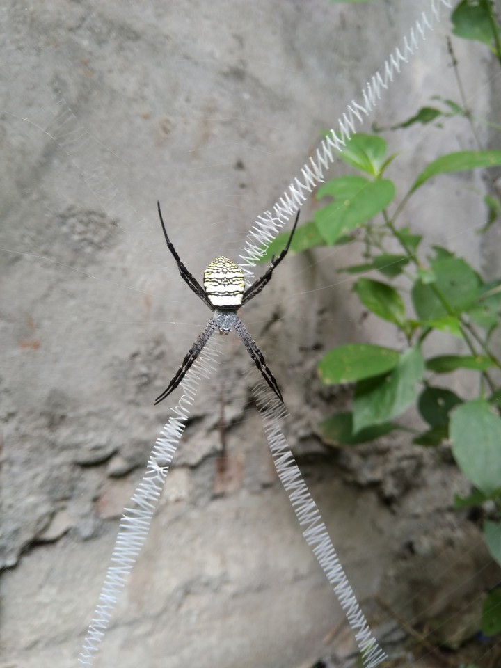 Nature's beauty