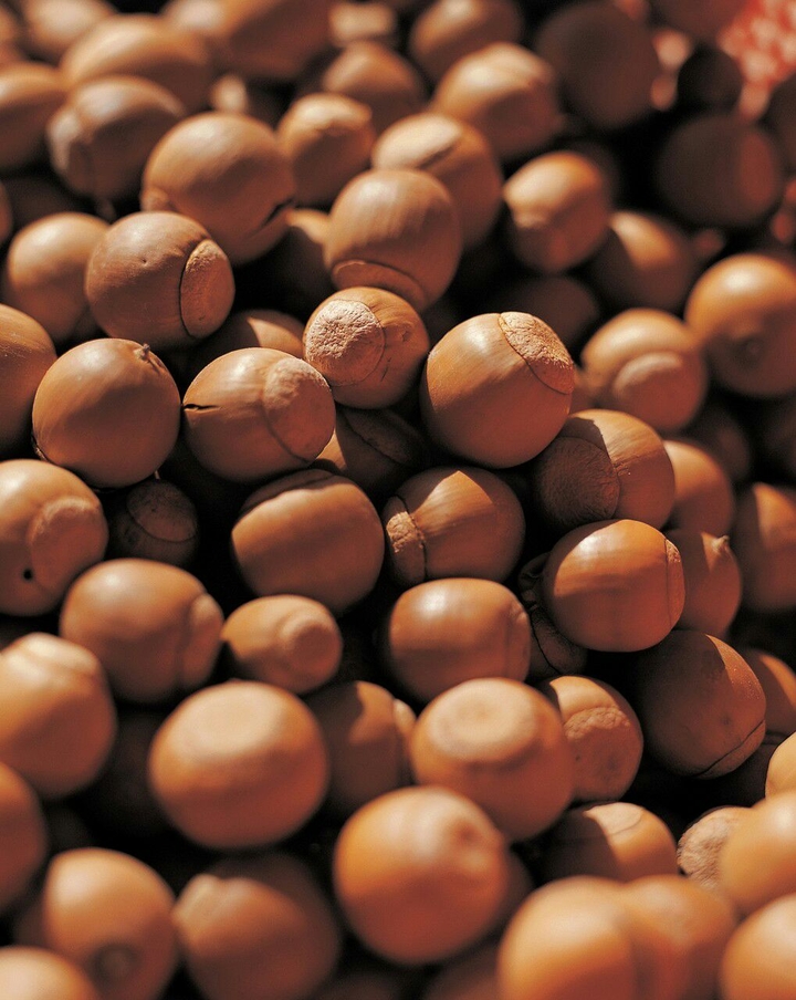 Nut