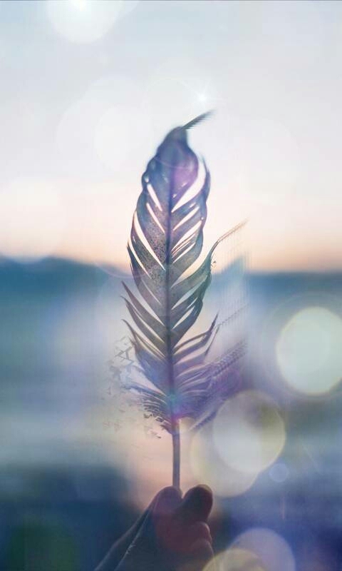feather .