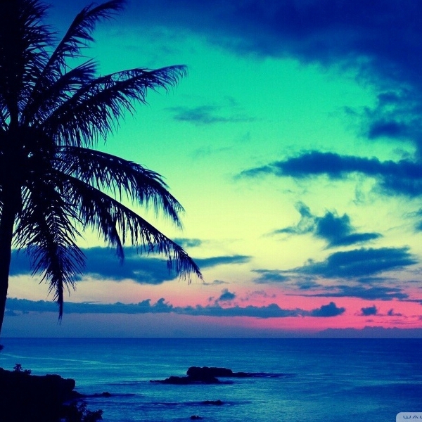 FANTASTIC COLORS