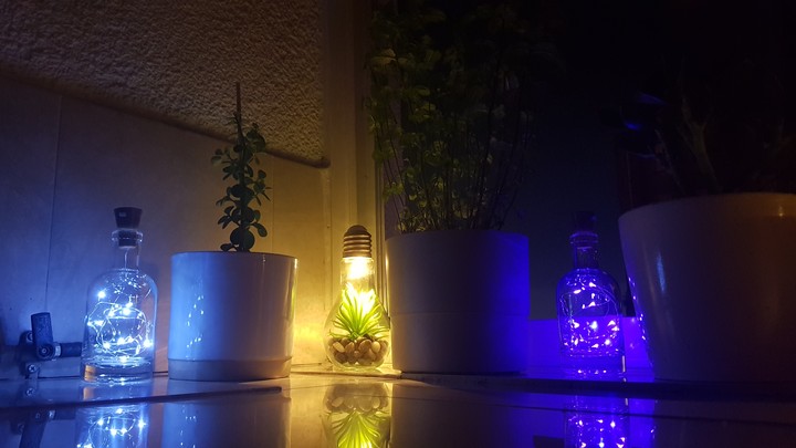 Neon light night
