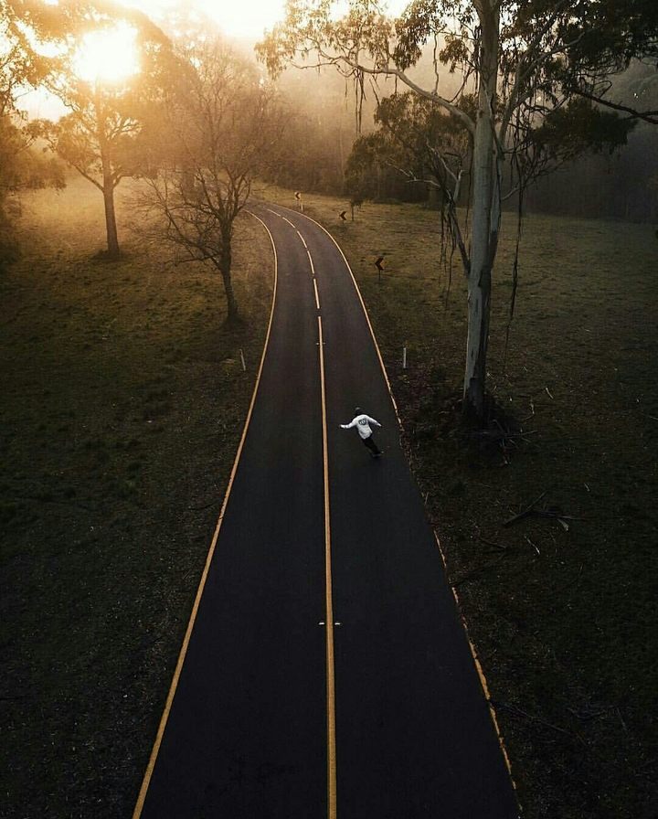 forest