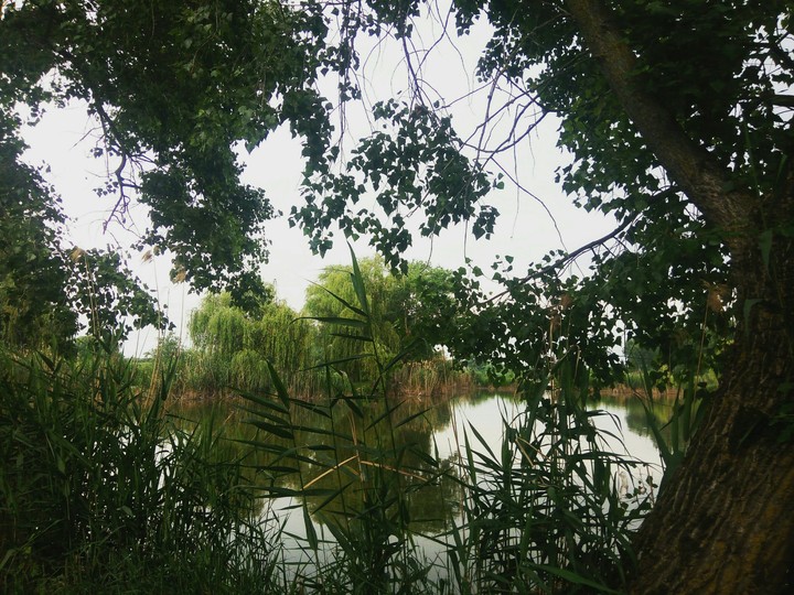 р. Кирпили