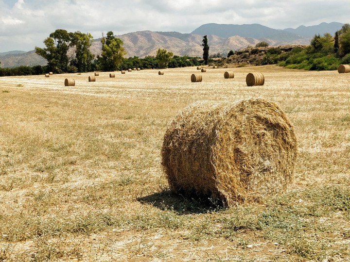 Haystack