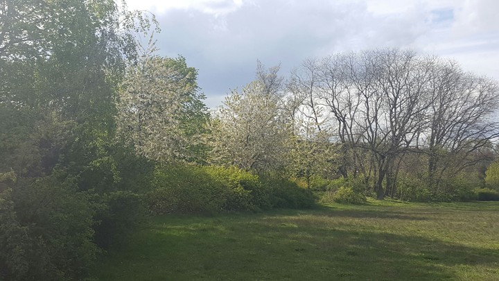 A park