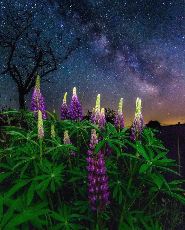 milky way