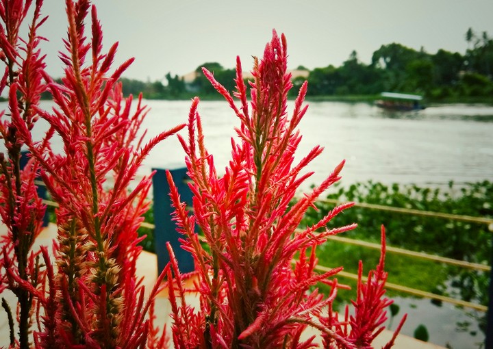 Random click