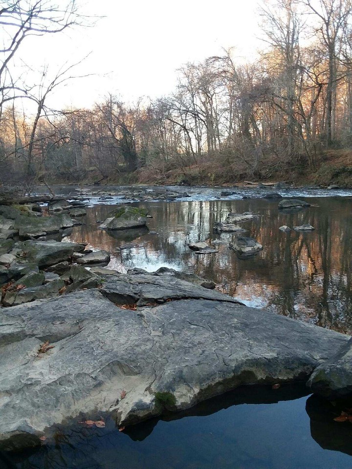 shallowford park