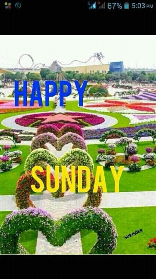 happy sunday ha