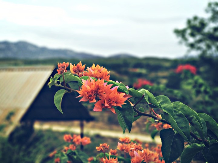 Far away from the city!!