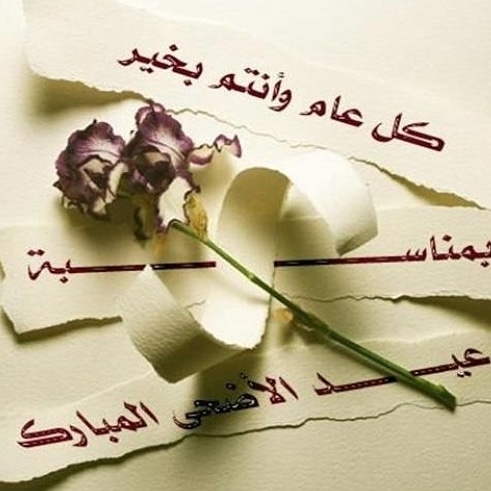 عيدكم مبارك سعيد و كل عام وأنتم بخير