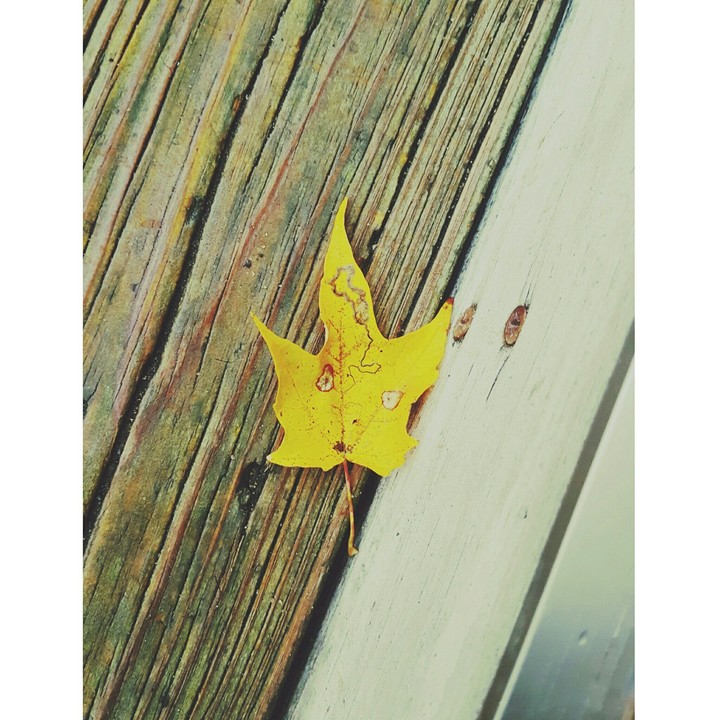 fall