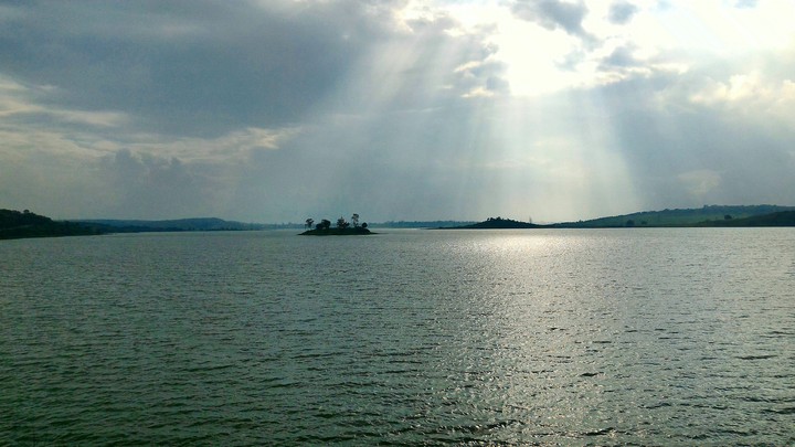 The Island