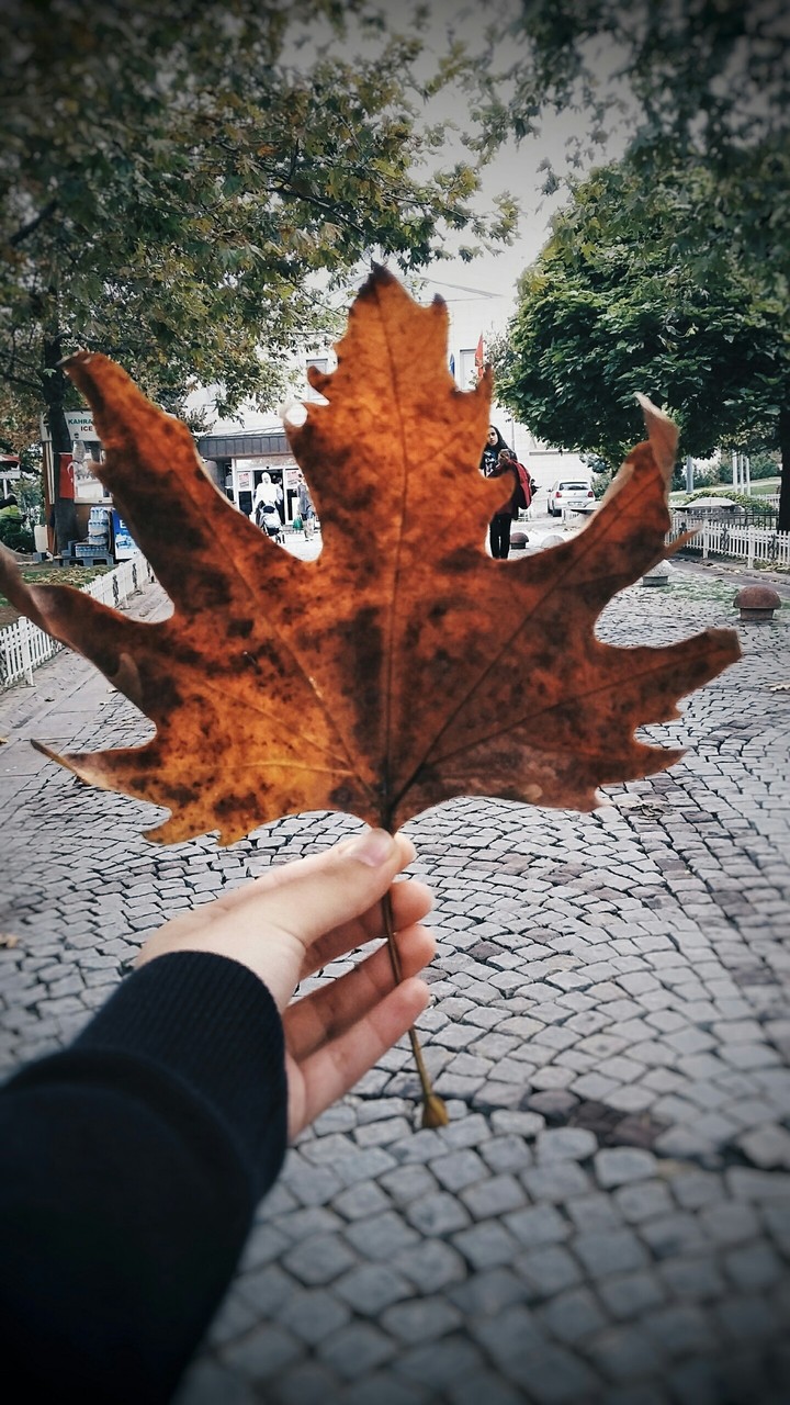 BüşraNur