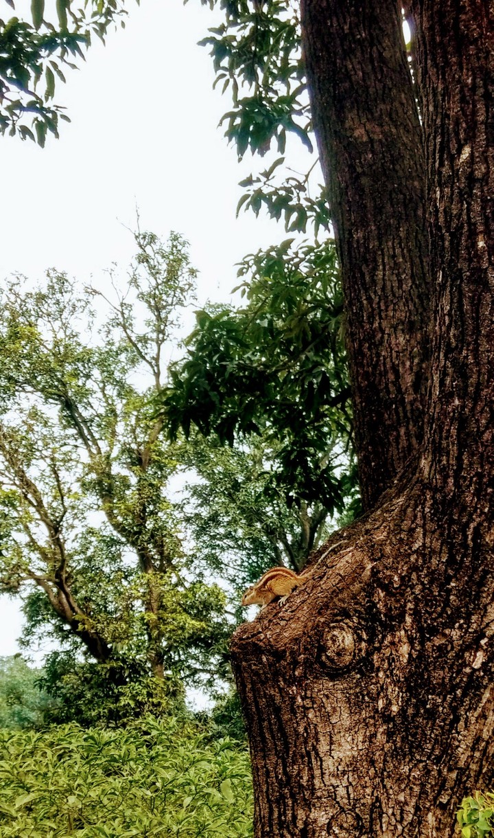 ready for a leap!!