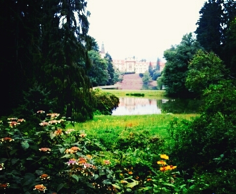 Nature