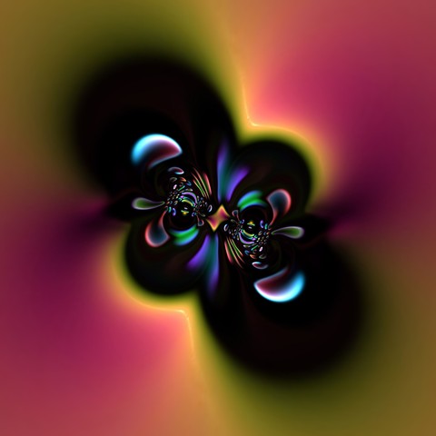 colorfull, insect Hintergrundbilder