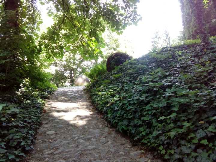 follow the path