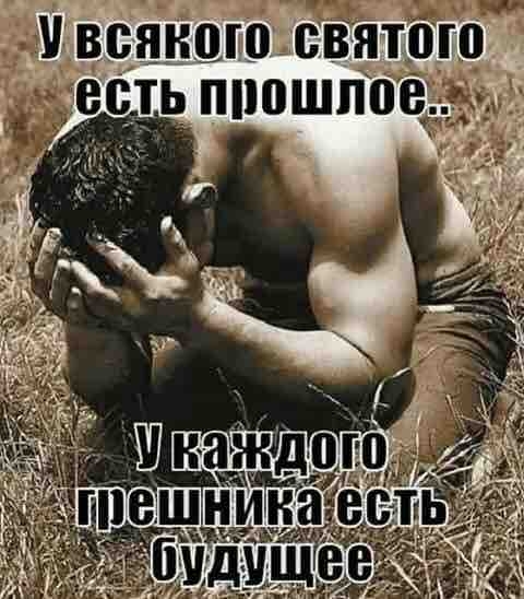цитаты