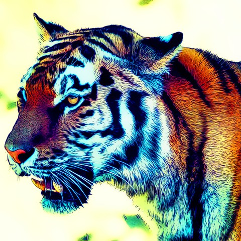 tiggy