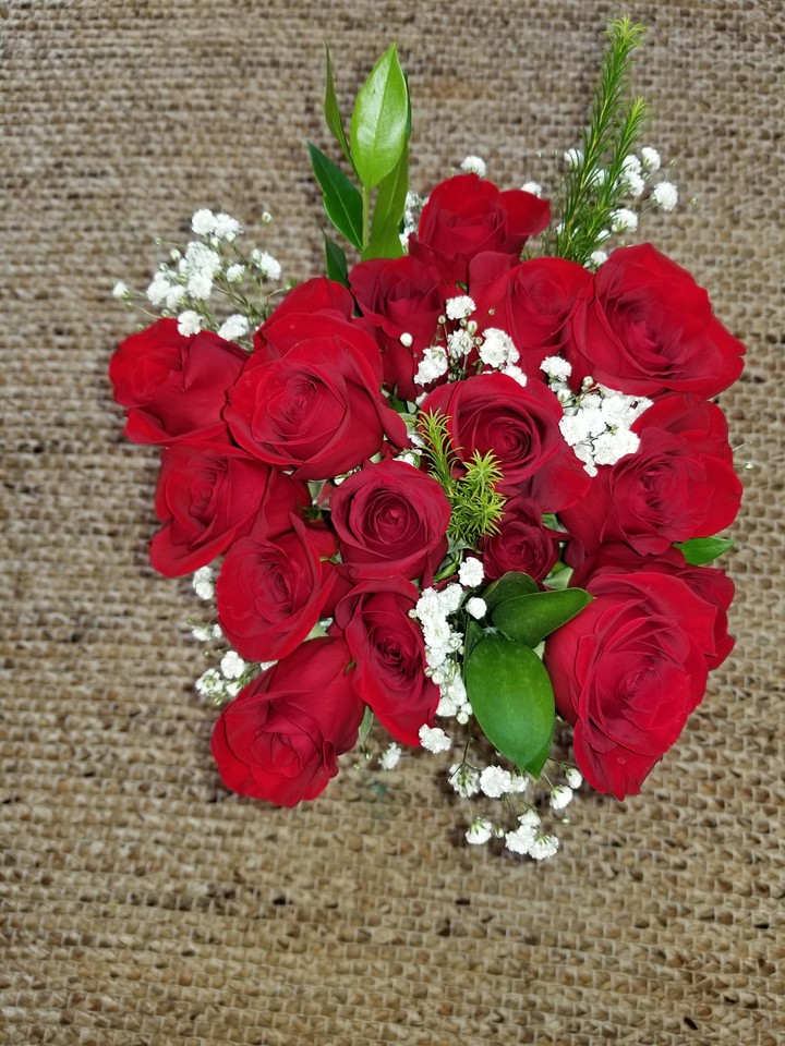 red beauty