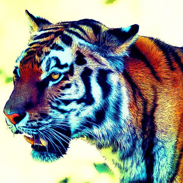 tiggy
