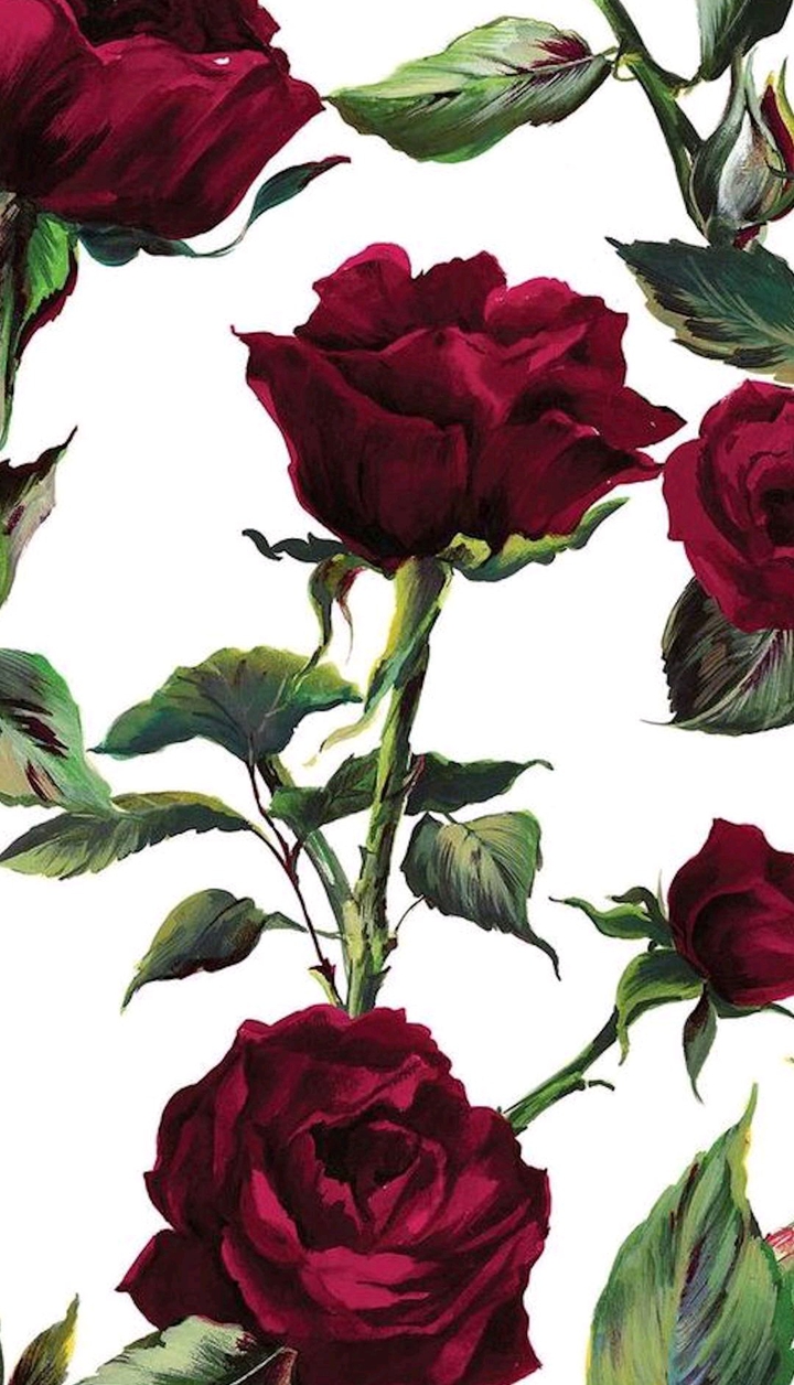 Rosen