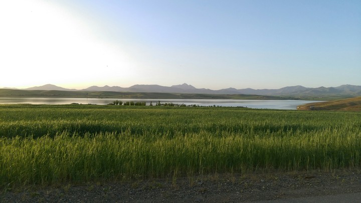 Mahdsina