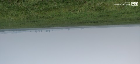grass land