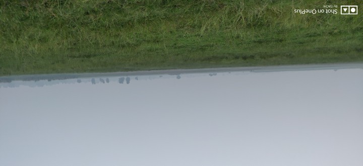 grass land