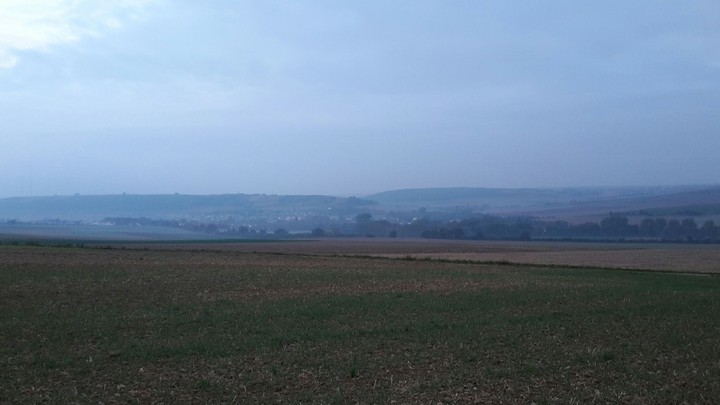 nature