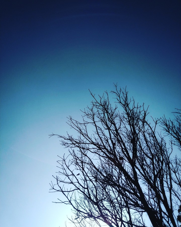 blue