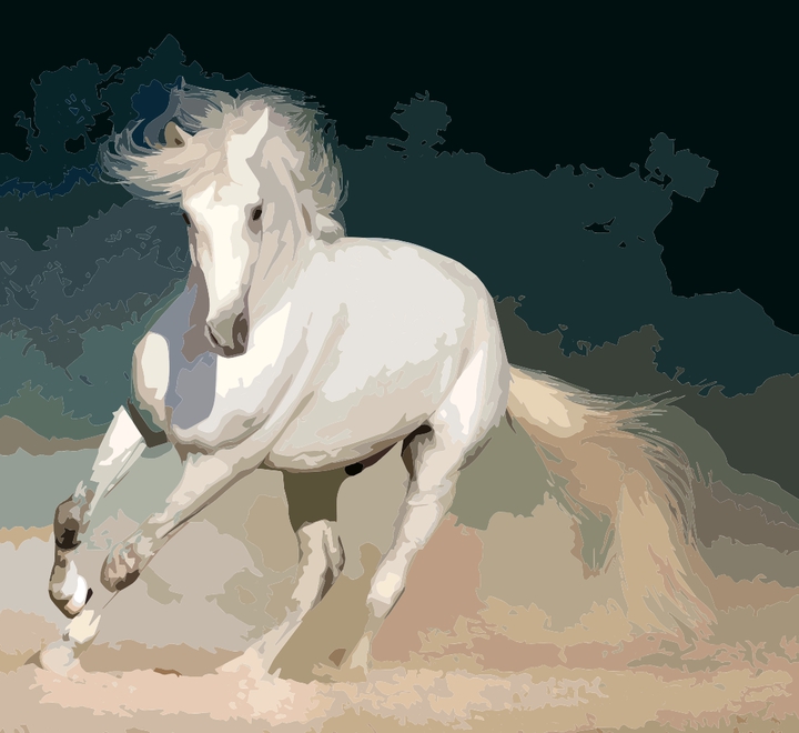White horse