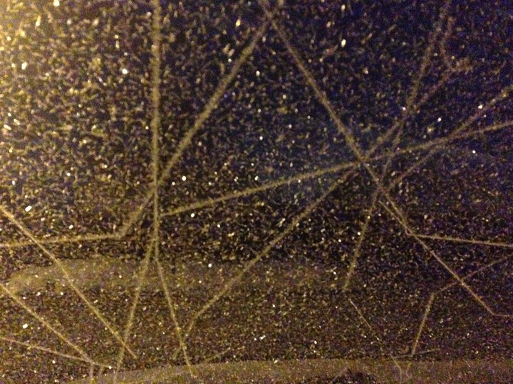 Frosted