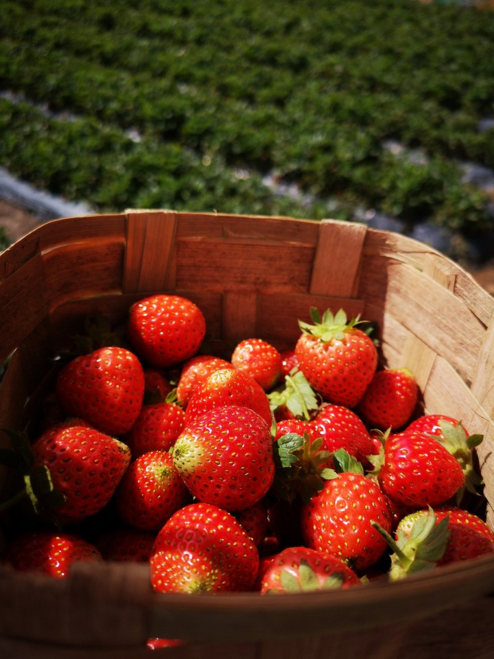 strawberry