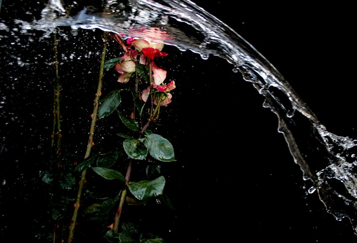 water
