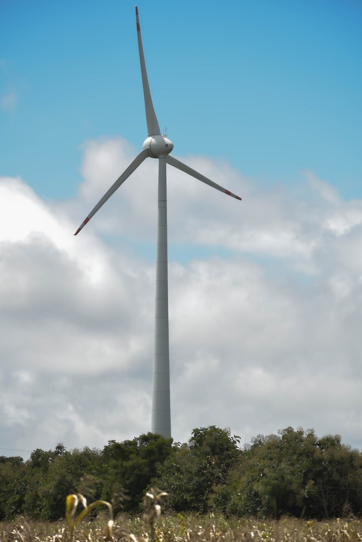 windmill