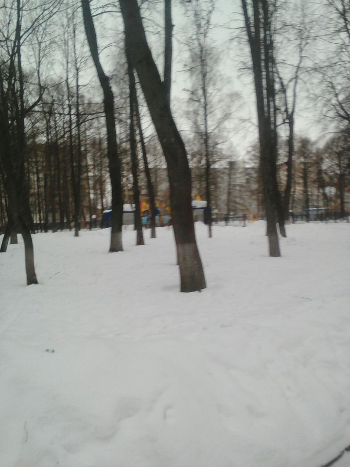 Лесок