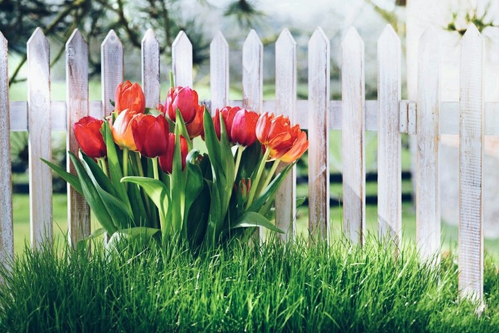 spring