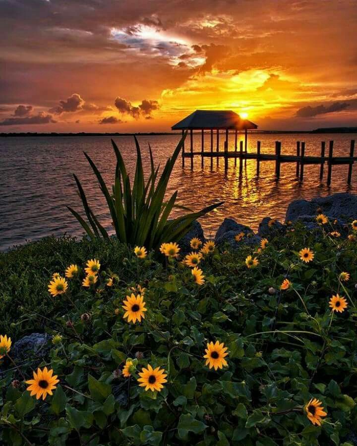 atardecer