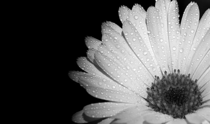 Colorless