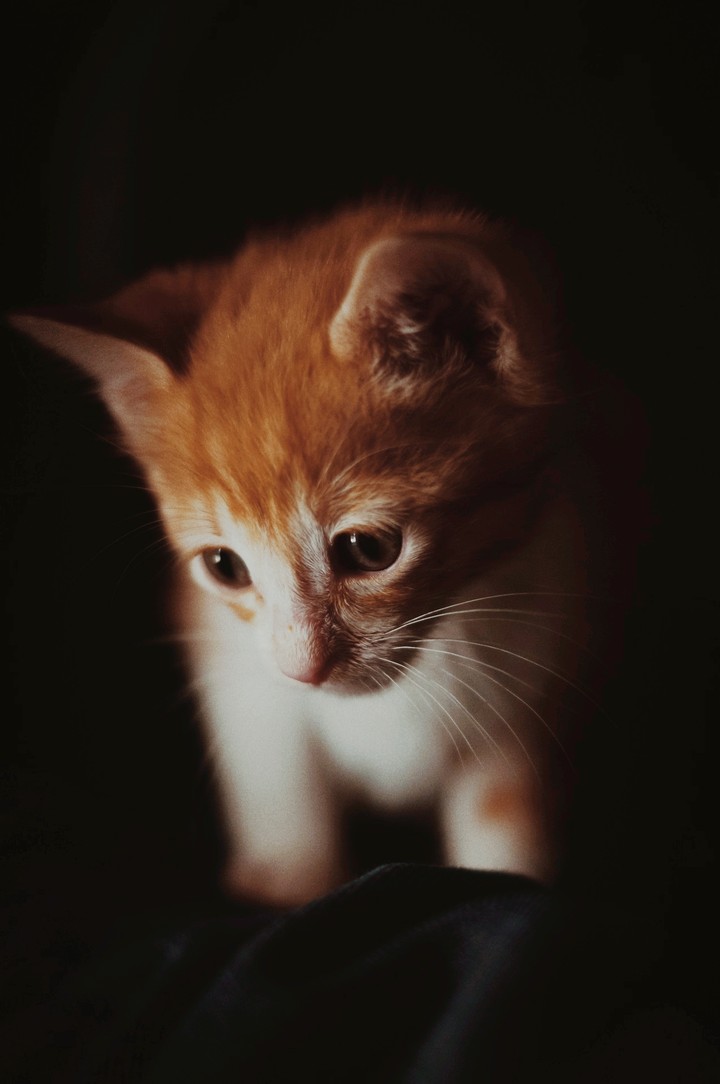 cute