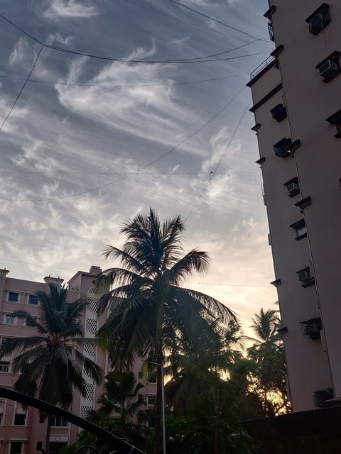 skyscape